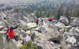 Орали благим матом: 20 туристов в панике носились по лесу, спасаясь от «игривого» медведя