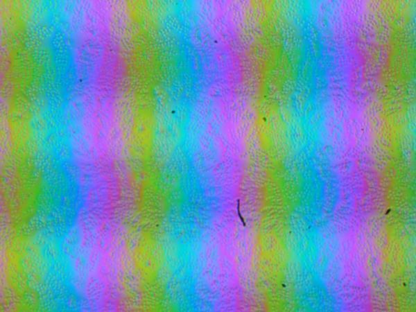 Обзор игрового ноутбука Asus ROG Strix Scar 18 G835LX с Intel Core Ultra 9 275HX и Nvidia GeForce RTX 5090 Laptop