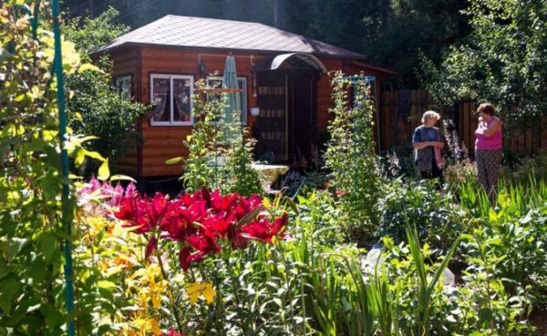 &laquo;Срубил вишню&nbsp;&mdash; присел на семерик&raquo;: Дачникам напомнили об очередном суровом запрете