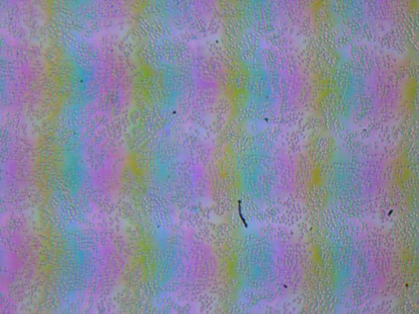 Обзор игрового ноутбука MSI Titan 18 HX AI A2XWJG-076RU с Intel Core Ultra 9 и Nvidia GeForce RTX 5090 Laptop