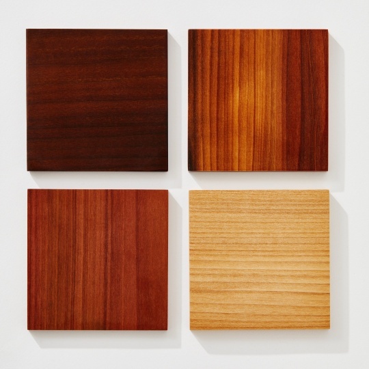 Американский стартап представил древесину, которая прочнее стали