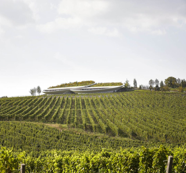 Открыта винодельня Sauska Tokaj в городе Ратка, Венгрия