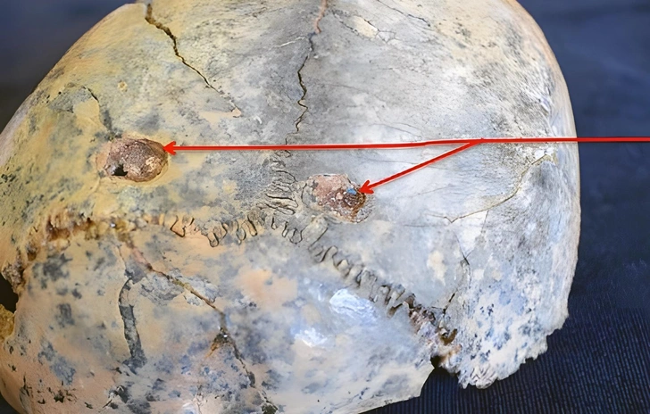 «Царь природы» или трусливая жертва? Кто нападал на первых людей в Африке 2 млн лет назад