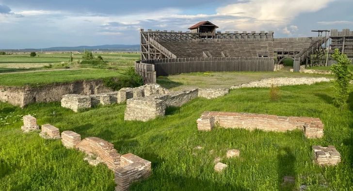 Череп медведя, который сражался с римскими гладиаторами, нашли в Сербии