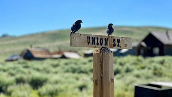 Города-призраки на краю света — посмотрите на жизнь без людей