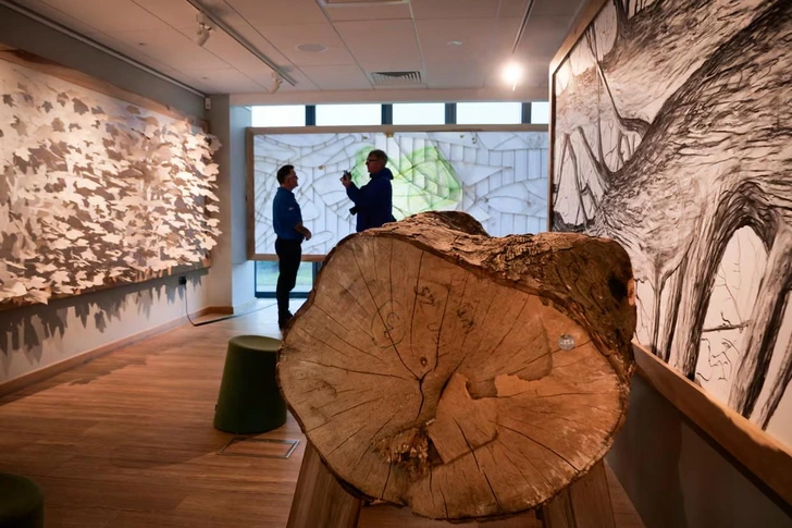 Художникам разрешили использовать древесину варварски срубленного «самого любимого дерева в Англии»