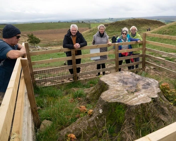 Художникам разрешили использовать древесину варварски срубленного «самого любимого дерева в Англии»