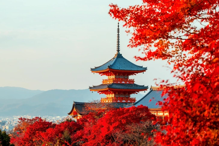 «К посольству подошел в 7:30, был примерно 70-й»: россияне срочно устремились за визами в Японию