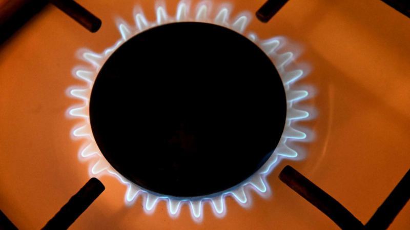 Лукашенко заявил, что вышел с Путиным на договоренности по газу на 5 лет