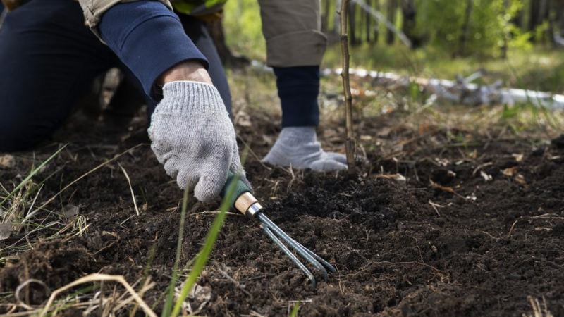 Подготовка грядок к следующему сезону согласно лунному календарю