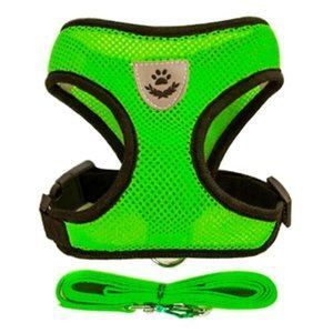 Шлейка с поводком для собак и кошек