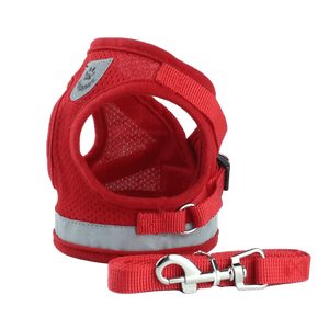 Шлейка с поводком для собак мелких пород и кошек