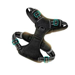 Шлейка для собак