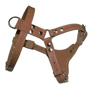 Шлейка для собак