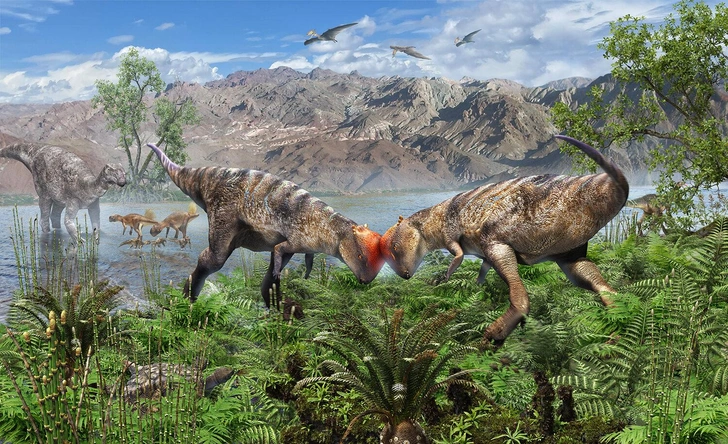 Торчал из скалы, как драгоценность. В пустыне Гоби нашли древнейшего из известных куполообразных динозавров