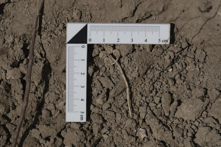 Турецкий министр показал золотую брошь из Трои. Артефакту 4500 лет