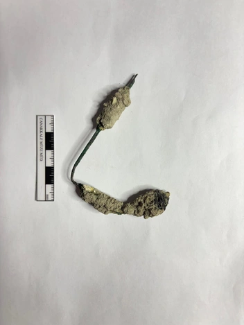 Турецкий министр показал золотую брошь из Трои. Артефакту 4500 лет