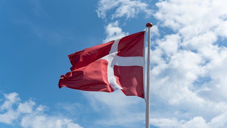 В России раскрыли цель срочной мобилизации в Дании