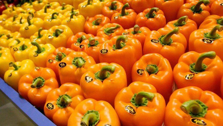Врач рассказала о пользе болгарского перца