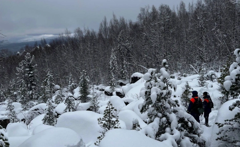 Активные наземные поиски пропавшей семьи Усольцевых официально прекращены