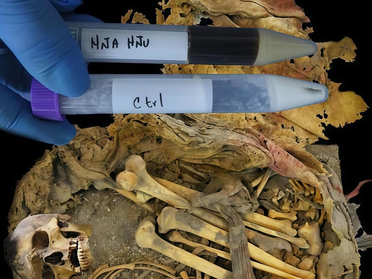 Фекалии, хранившиеся в кишечнике молодого мексиканца тысячу лет, о многом рассказали ученым