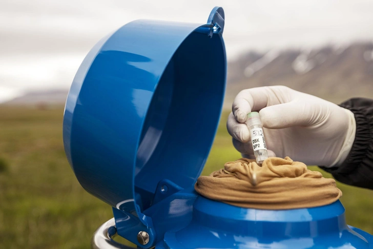 Холодильное хранилище: как на арктическом архипелаге в промерзшей почве может сохраняться скрытая история вирусов