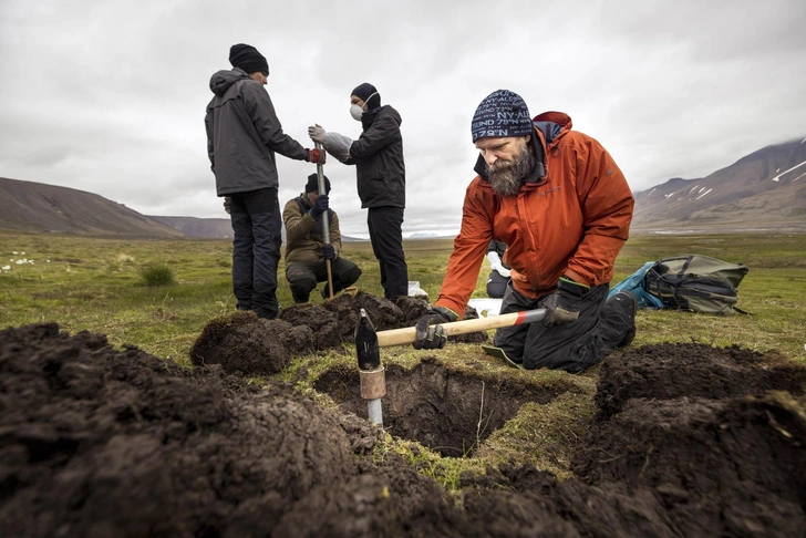 Холодильное хранилище: как на арктическом архипелаге в промерзшей почве может сохраняться скрытая история вирусов
