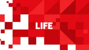 Количество платных мест в вузах России могут ограничить со следующего года Количество платных мест в вузах России могут ограничить со следующего года