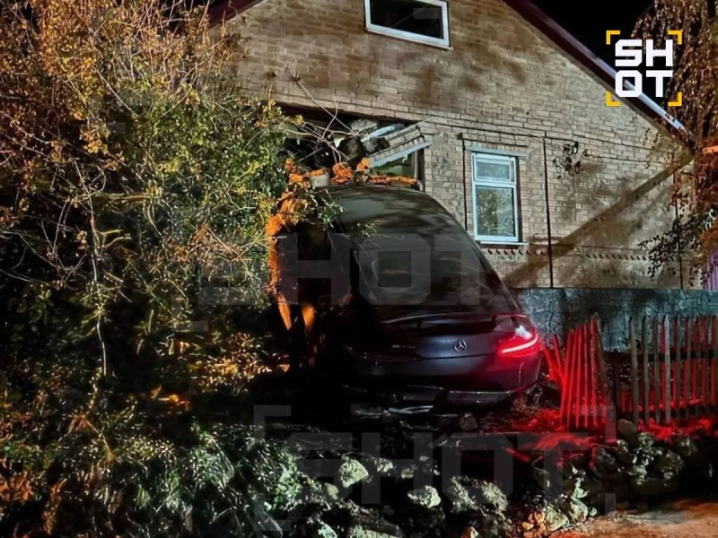 «Мерседес» за 20 млн, львёнок и 169 штрафов: Как дочь Цапка кутит на деньги кровавого отца