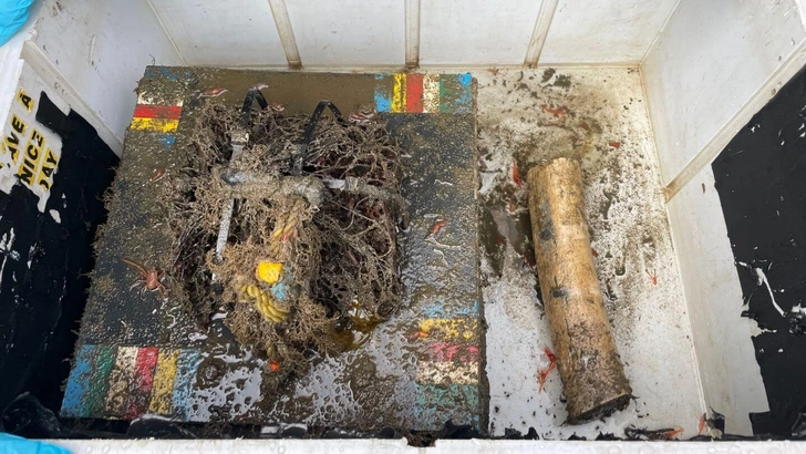 π³ΠΠ° ΠΊΠΈΡΠΎΠ²ΡΡ
ΠΊΠ»Π°Π΄Π±ΠΈΡΠ°Ρ
Π² Π’ΠΈΡ
ΠΎΠΌ ΠΎΠΊΠ΅Π°Π½Π΅ Π½Π΅ Π½Π°ΡΠ»ΠΈ ΡΠ΅ΡΠ²Π΅ΠΉ-Π·ΠΎΠΌΠ±ΠΈ, ΠΈ ΡΡΠΎ ΠΏΠ»ΠΎΡ
ΠΎ, Π³ΠΎΠ²ΠΎΡΡΡ ΠΌΠΎΡΡΠΊΠΈΠ΅ Π±ΠΈΠΎΠ»ΠΎΠ³ΠΈ