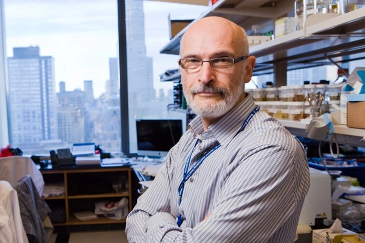 Опоздал на месяц: нобелевскую премию по медицине мог получить работающий в США иммунолог из России