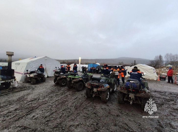 «Первыми их найдут звери»: как прошел последний день поиска семьи Усольцевых в тайге Красноярского края