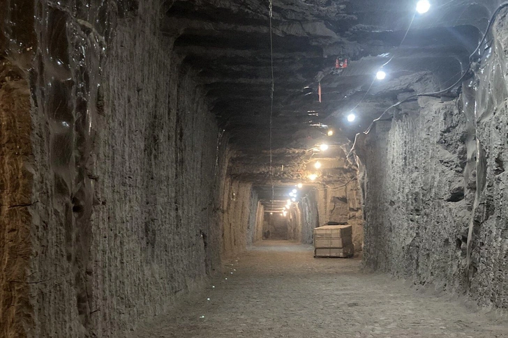 Разбудили Лихо? Ученые воскресили микробы, застрявшие в вечной мерзлоте на тысячи лет