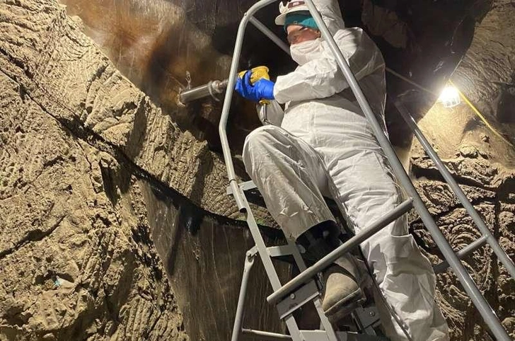 Разбудили Лихо? Ученые воскресили микробы, застрявшие в вечной мерзлоте на тысячи лет