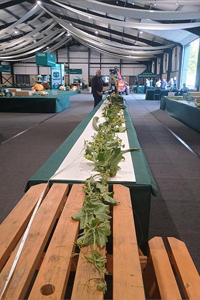 Садоводы поставили семь мировых рекордов за день: посмотрите на их гигантский урожай