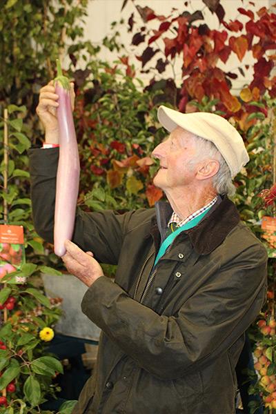 Садоводы поставили семь мировых рекордов за день: посмотрите на их гигантский урожай