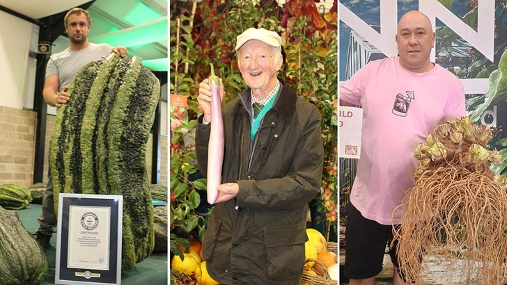 Садоводы поставили семь мировых рекордов за день: посмотрите на их гигантский урожай
