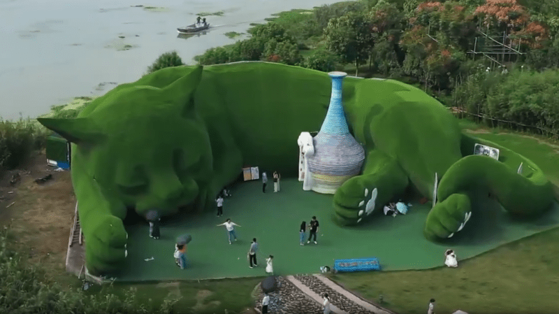 Сотни бродячих котов нашли приют на острове в Китае (видео)