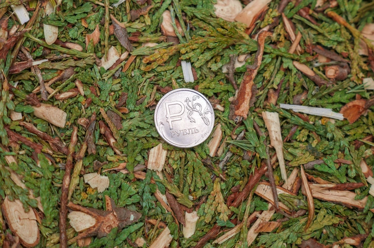 💸 Стало известно, сколько наличных держит при себе средний россиянин