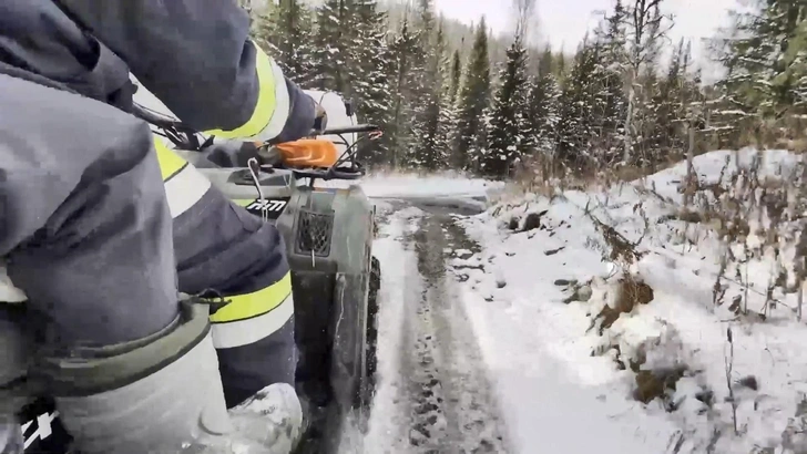 Укрылись у старообрядцев или попали к сектантам: новые версии загадочного исчезновения Усольцевых и свежее видео с поисков
