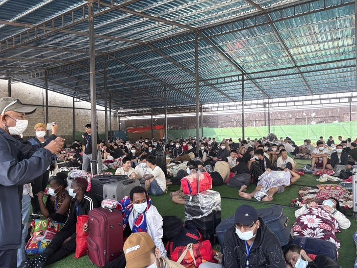 «За любую оплошность били электрошокерами»: еще одну россиянку спасли из парка мошенников в Мьянме