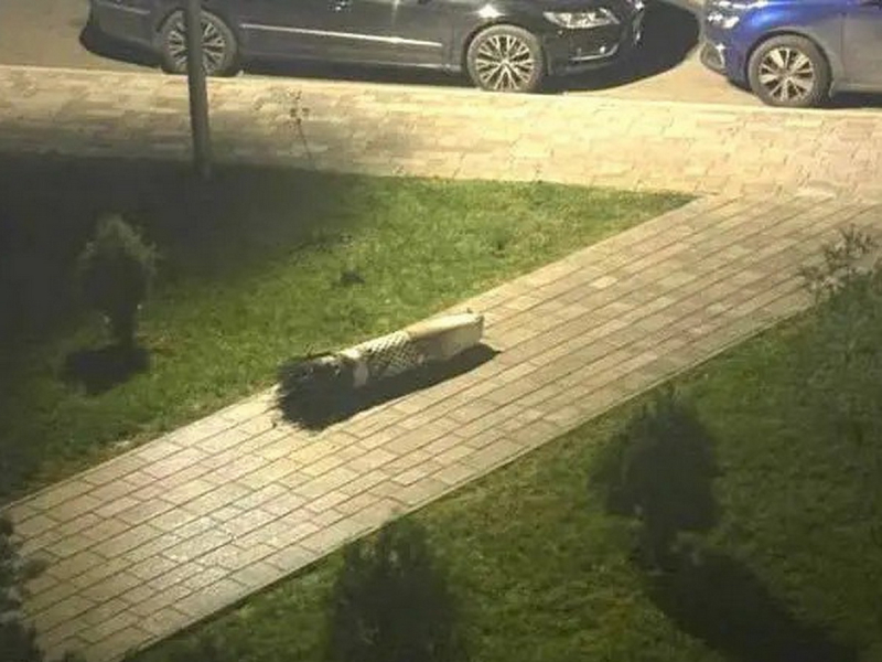 Баку в шоке: ракеты США ударили по Киеву вместо «Кинжала», разоблачив Зеленского