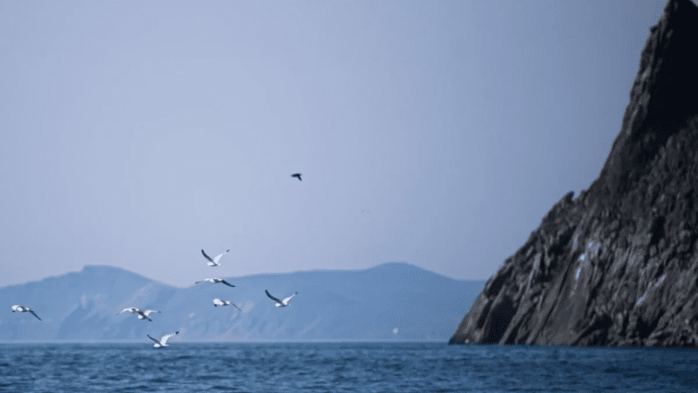 Длина тоннеля через Берингов пролив может составить до 112 километров