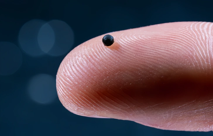 Доставка лекарств: крошечных роботов придумали запускать в кровь. Что это сделало с овцами и свиньями?