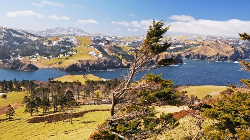 Кремль: принадлежность Курил ни у кого не должна вызывать сомнений