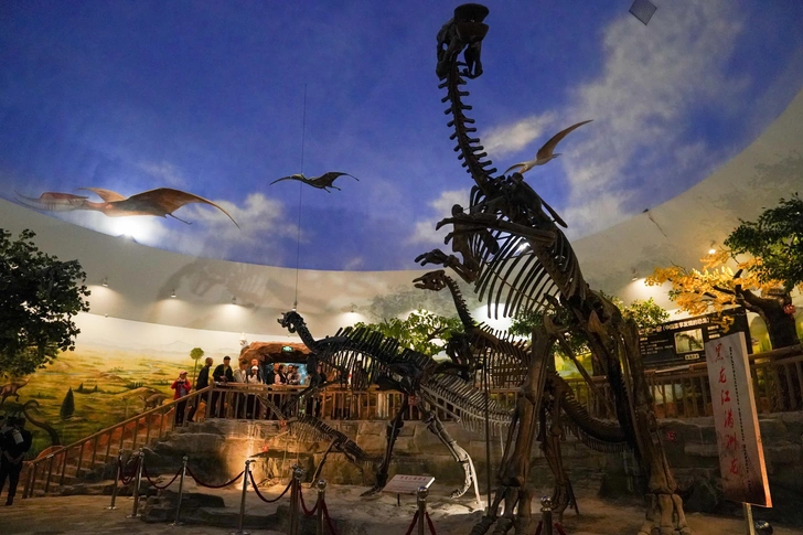 Мальчик или девочка? Ученые придумали определять пол динозавров по травмам после спаривания