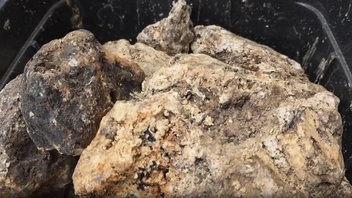 Офицер из Таиланда продает 55 кг затвердевшей рвоты кашалота. Просит миллион батов, но она явно дороже