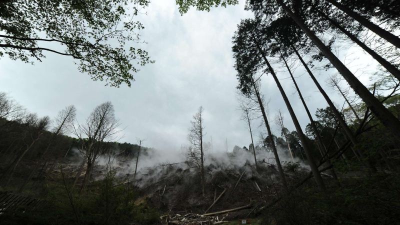 Пожар в Японии не могут потушить уже неделю, есть жертвы