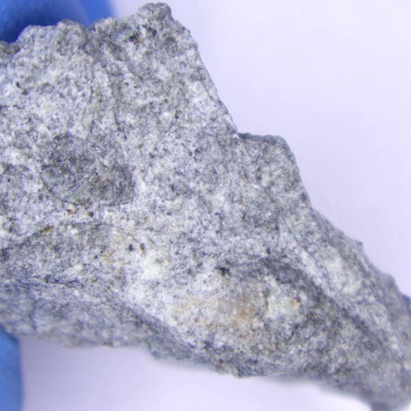 Разбросало по лесам и болотам: ученые показали обломки метеорита, пролетевшего над Севером России