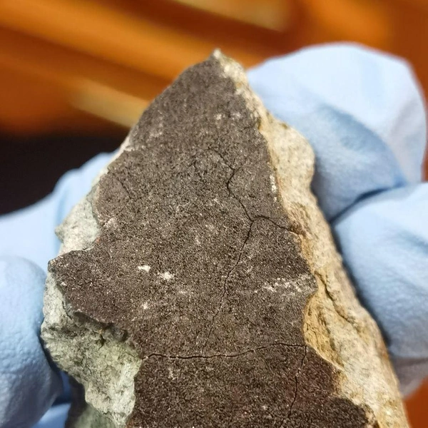 Разбросало по лесам и болотам: ученые показали обломки метеорита, пролетевшего над Севером России